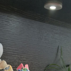 چراغ LED گرد نقطه ای سه تایی همراه ترانس فانتونی به قطر 4 سانتی N677